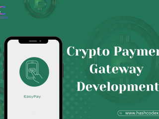 enterprise-grade-crypto-payment-gateway-solutions-from-hashcodex