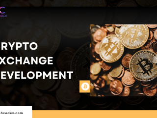 get-a-fully-functional-exchanges-designed-by-hashcodex