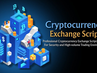 why-choose-a-cryptocurrency-exchange-script-for-your-crypto-business