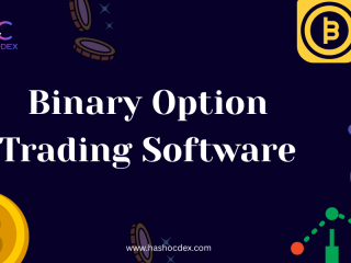 every-successful-binary-platform-has-hashcodex-behind-it