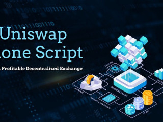 best-uniswap-clone-script-services-provider-in-usa