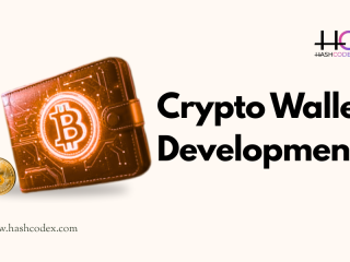 hashcodex-offers-end-to-end-crypto-wallet-development