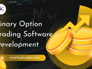 ai-powered-binary-option-trading-platform-developed-by-hashcodex