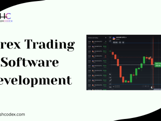 dont-wait-to-upgrade-your-forex-platform-let-hashcodex-makes-it-easy