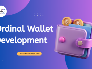 building-an-ordinals-wallet-with-hashcodex-heres-the-real-advantage